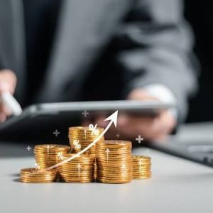 Gestión financiera básica